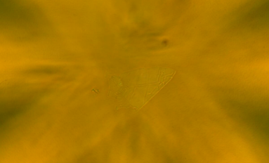 1-250H5115643646